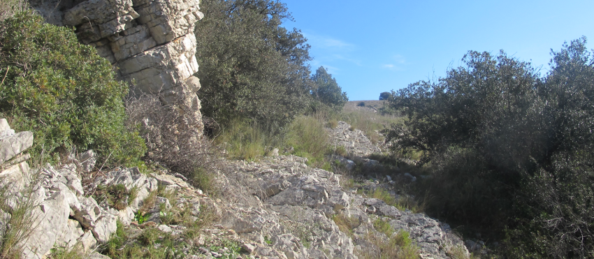 garrigue.png