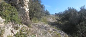 garrigue.png