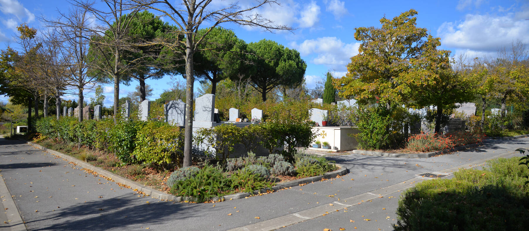dsc-2360-1.jpg