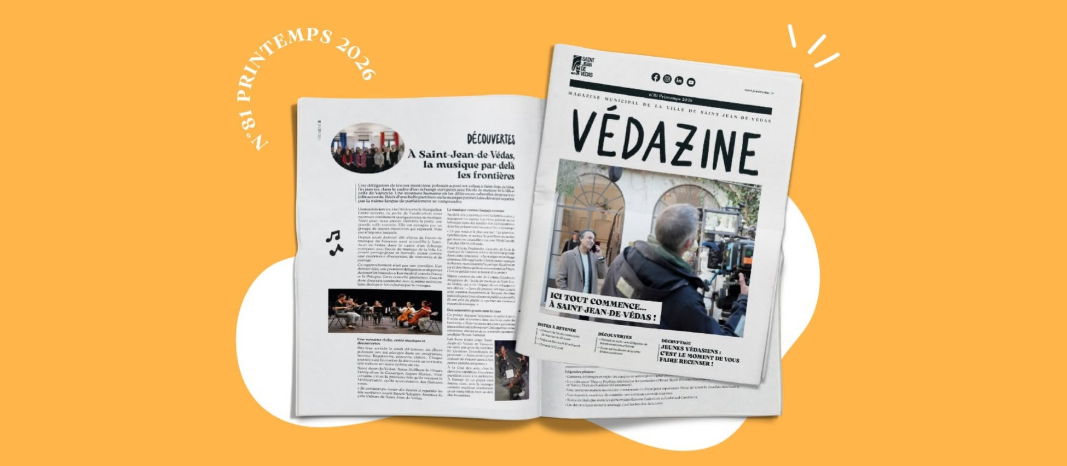 vedazine-81-siite.png